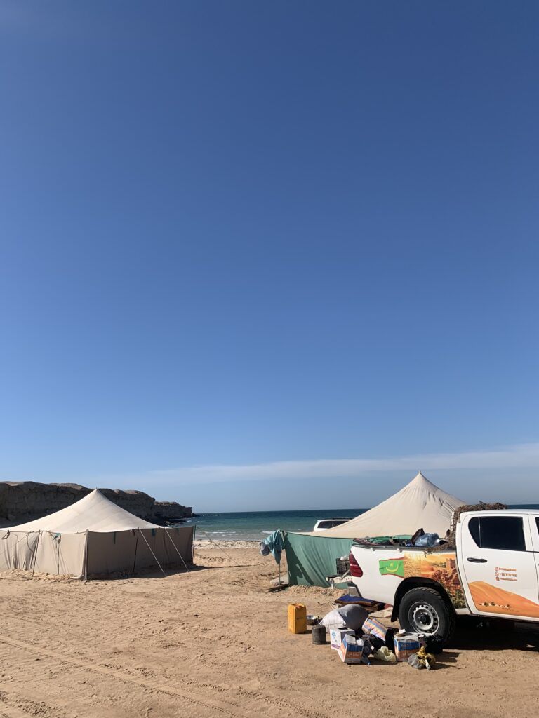 banc d'arguin national park Mauritanie , nature sauvage et patrimoine unesco