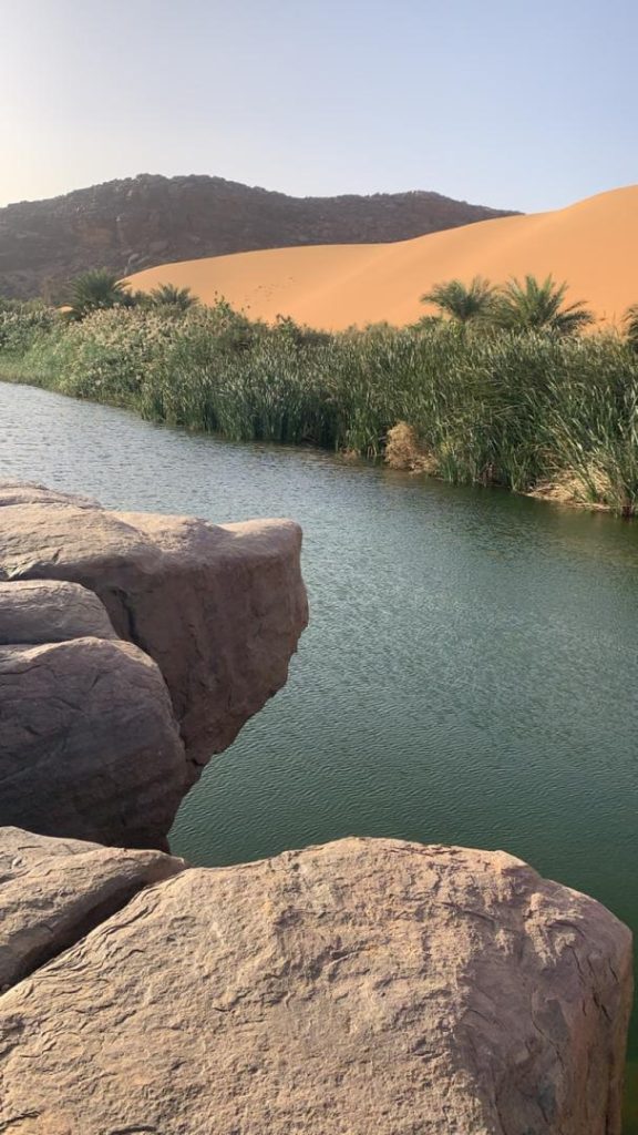 L'oasis de Terjit est l'oasis la plus connue de l'Adrar