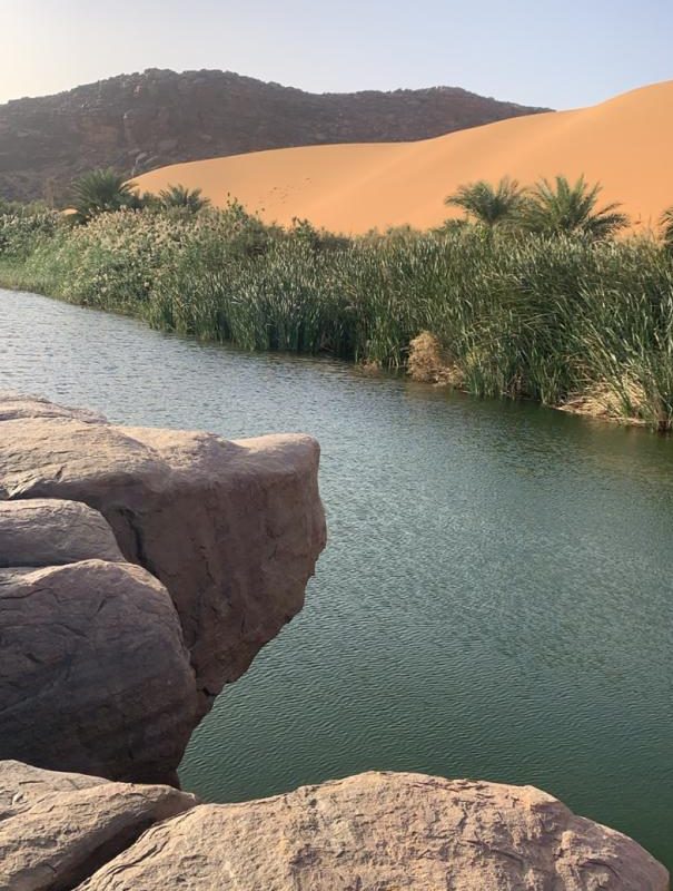 Nichée entre les dunes dorées du Sahara mauritanien, l' oasis de Terjit est une perle de verdure et de fraîcheur.