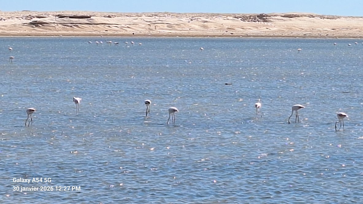 Route Nouakchott – Nouadhibou