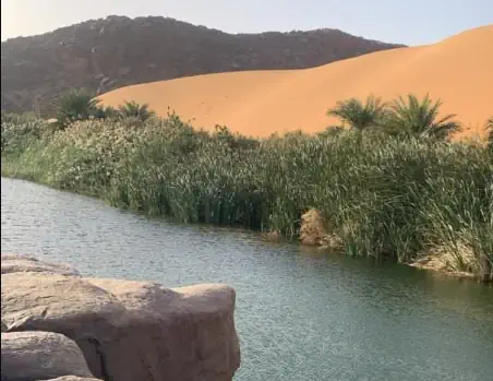 Toumbahjit, une oasis de verdure au coeur de l'Adrar
