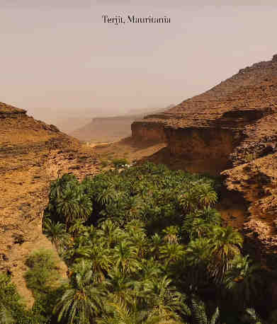 Le canyon de Tergit