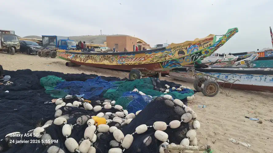 halle du marché au poisson de nouakchott
