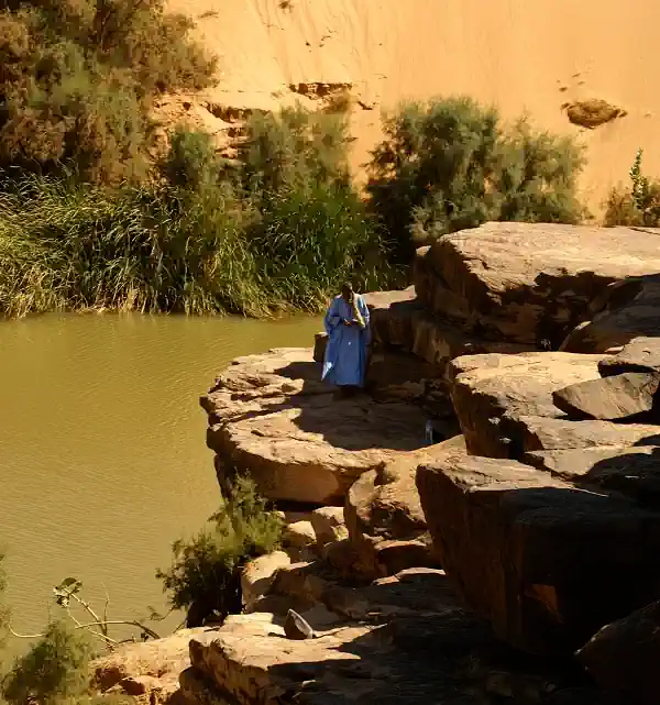 oasis de l'adrar